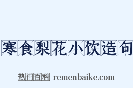寒食梨花小饮造句是什么意思的图片